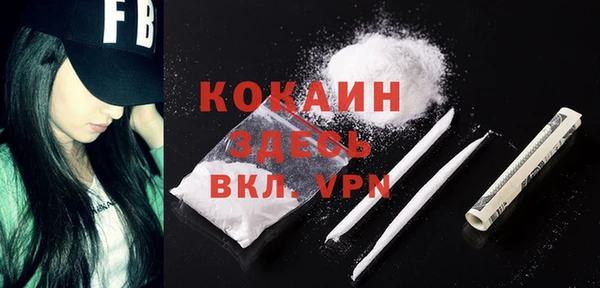 спайс Арсеньев