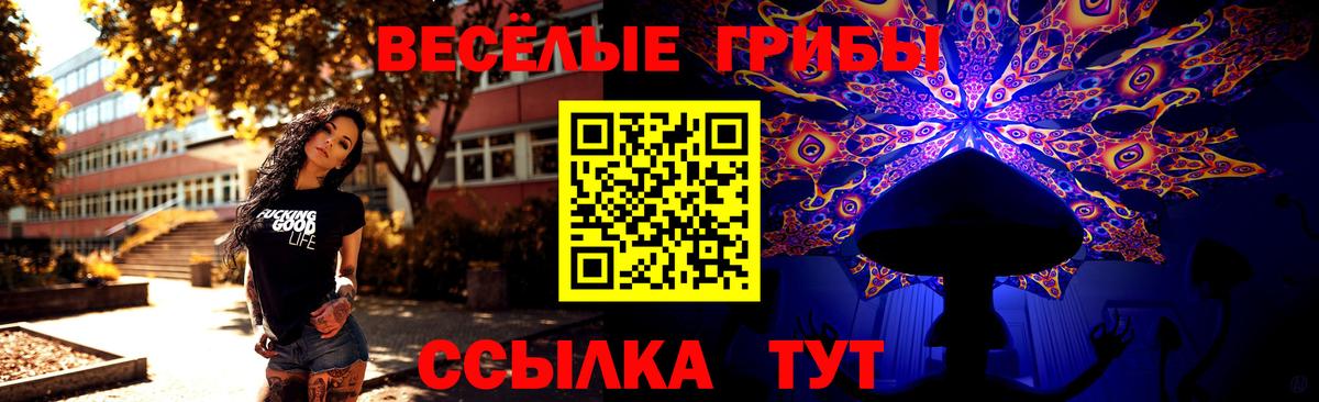 Галлюциногенные грибы Cubensis  Галлюциногенные грибы Psilocybe  Рубцовск  Вход с VPN 